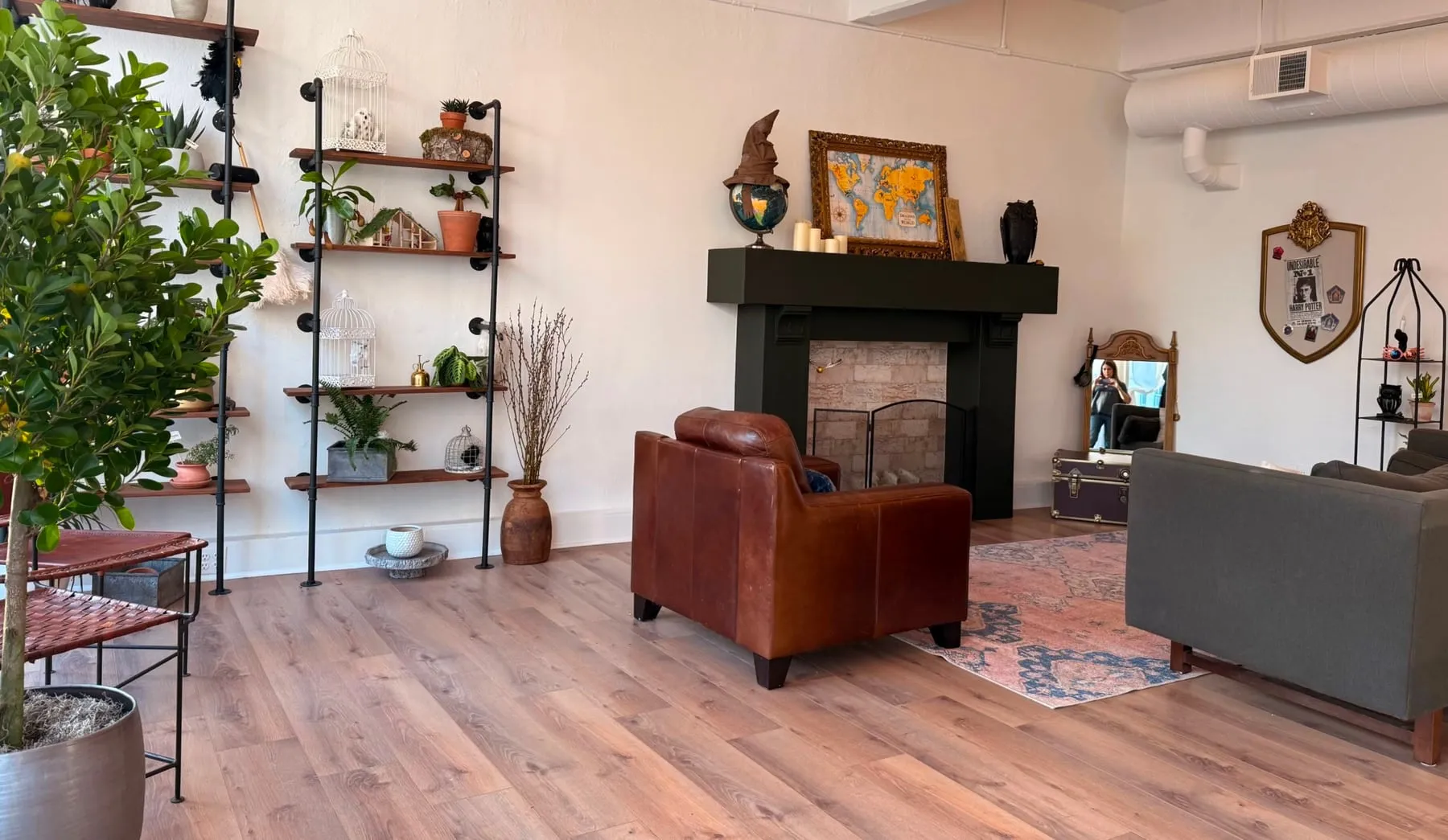 The lounge corner with a sofa, armchair and shelves of plants and curiosities.